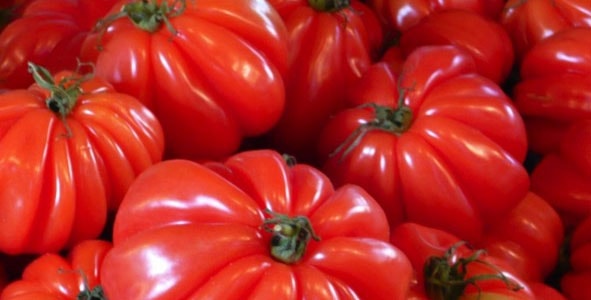 Marmande-–-The-Capital-of-the-Tomato